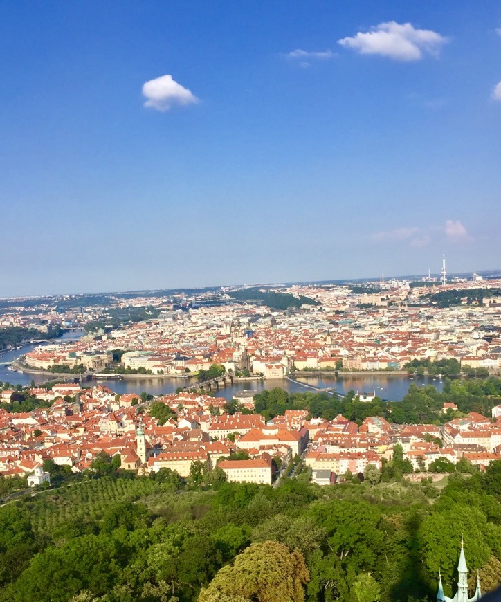 Place Petřínské sady