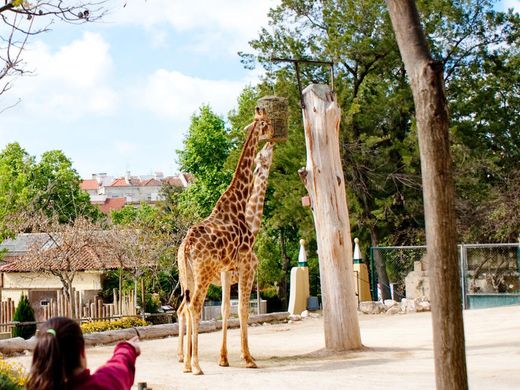 Jardim Zoológico de Lisboa