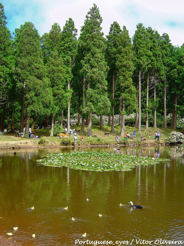 Lugar Lagoa das Patas