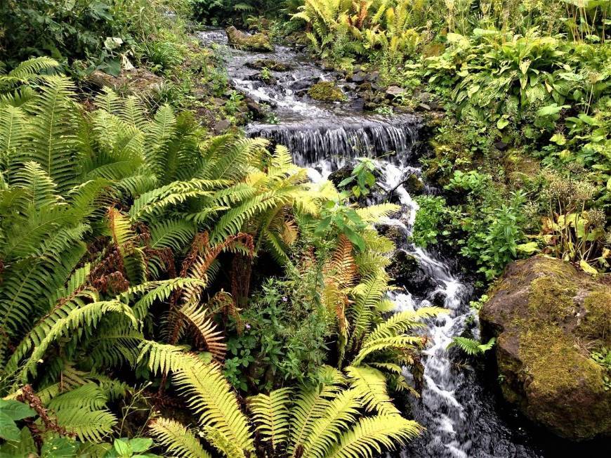 Place Real Jardín Botánico de Edimburgo