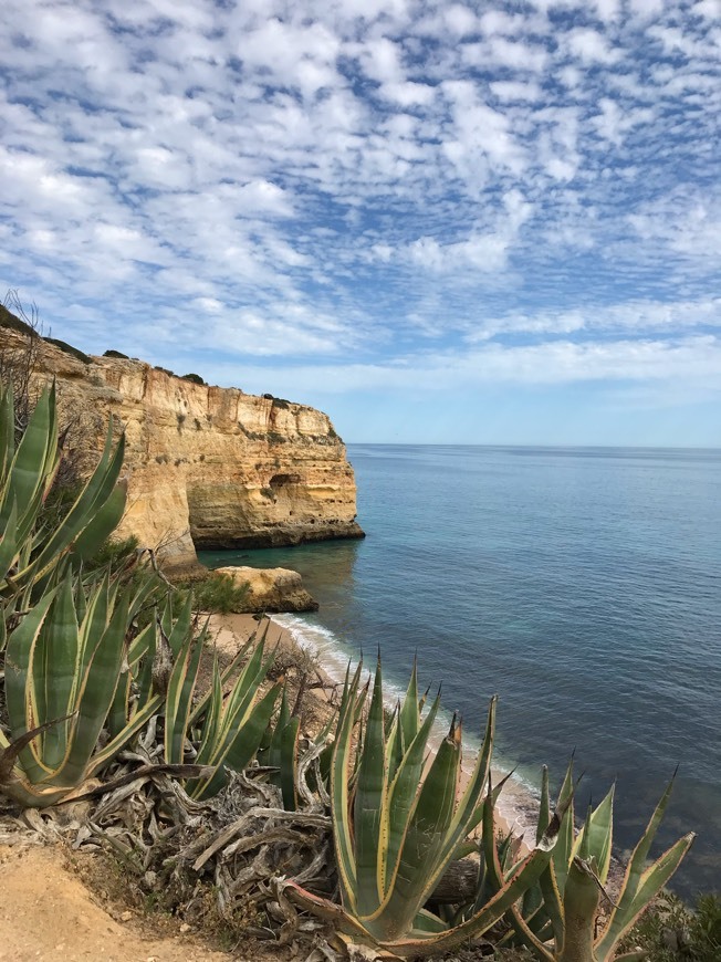 Moda Praia da marinha 📍