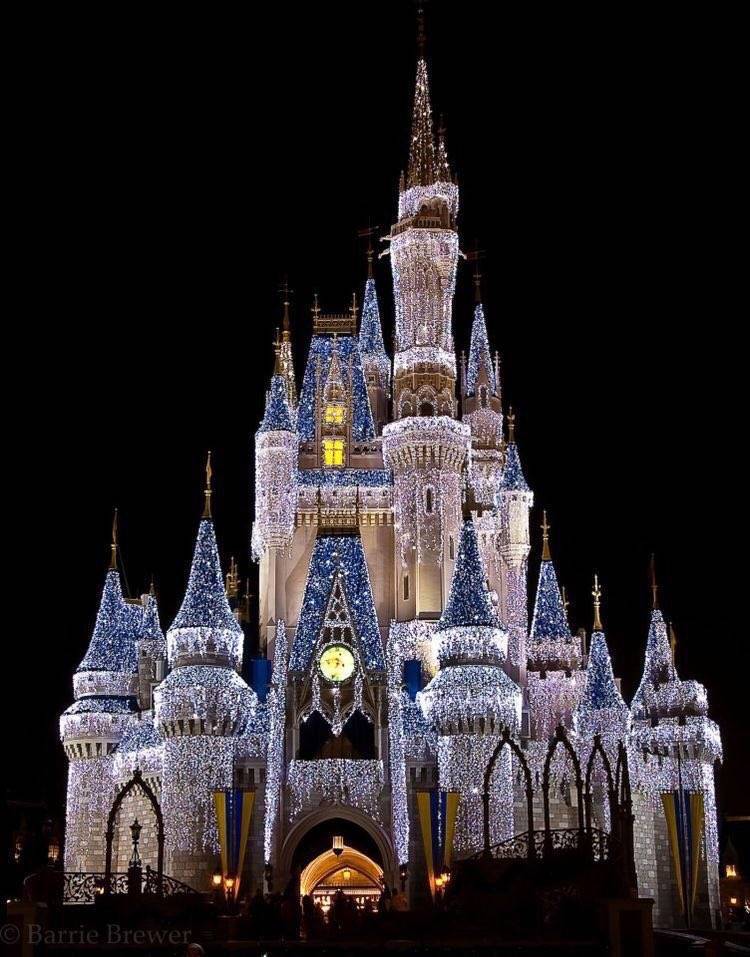 The Walt Disney Company