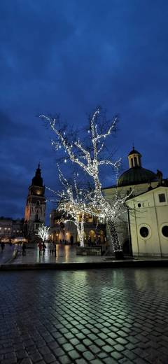 Cracovia