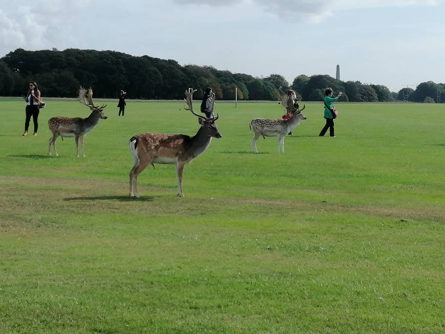 Lugar Phoenix Park