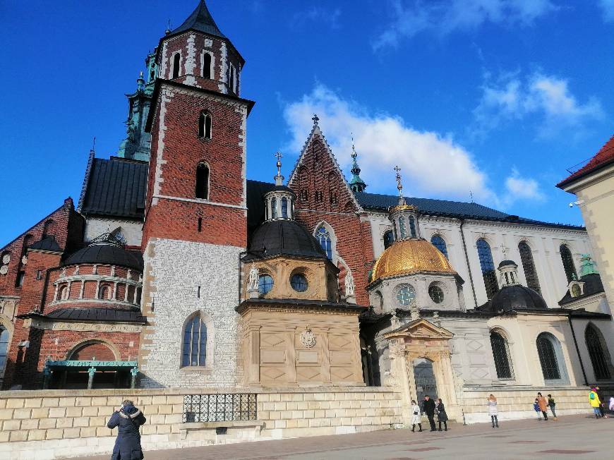 Place Castillo de Wawel