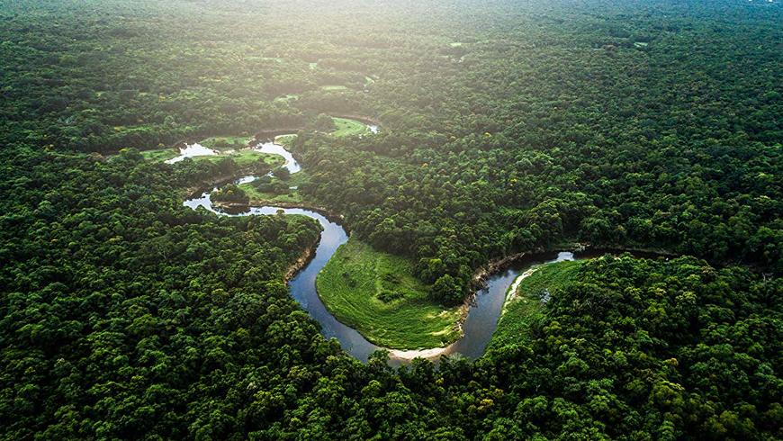 Place Amazonia