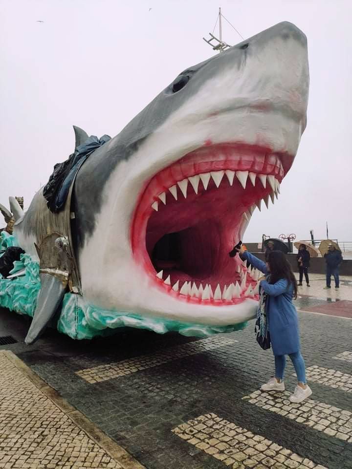 Place Carnaval 🤡 Nazaré 🌊