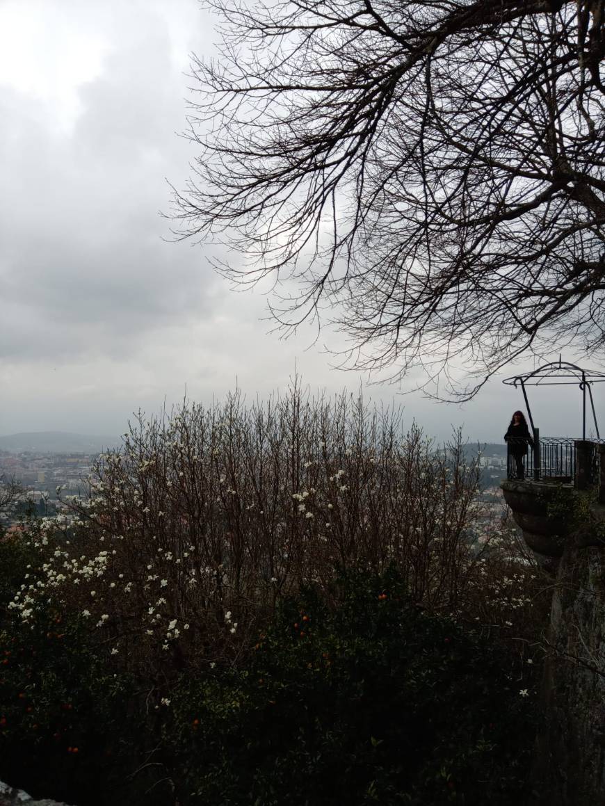 Place Bom Jesus do Monte