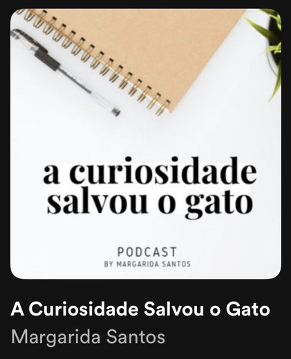 A Curiosidade Salvou o Gato