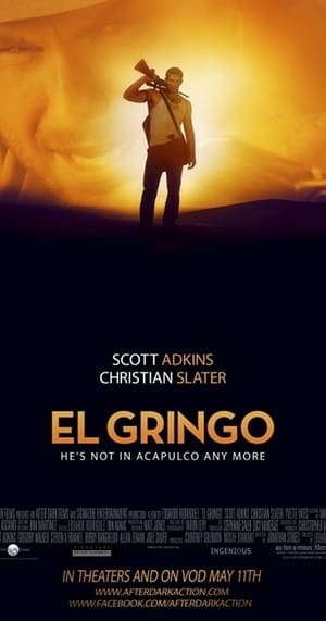 Movie El Gringo