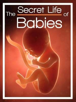 Película The Secret Life of Babies