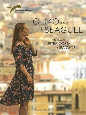 Movie Olmo & the Seagull