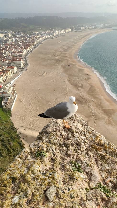 Lugar Nazaré