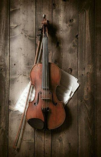 Violino 