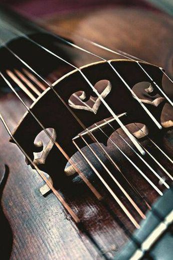 Violino 