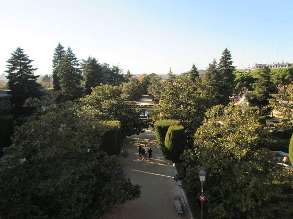 Lugar Jardines de Sabatini