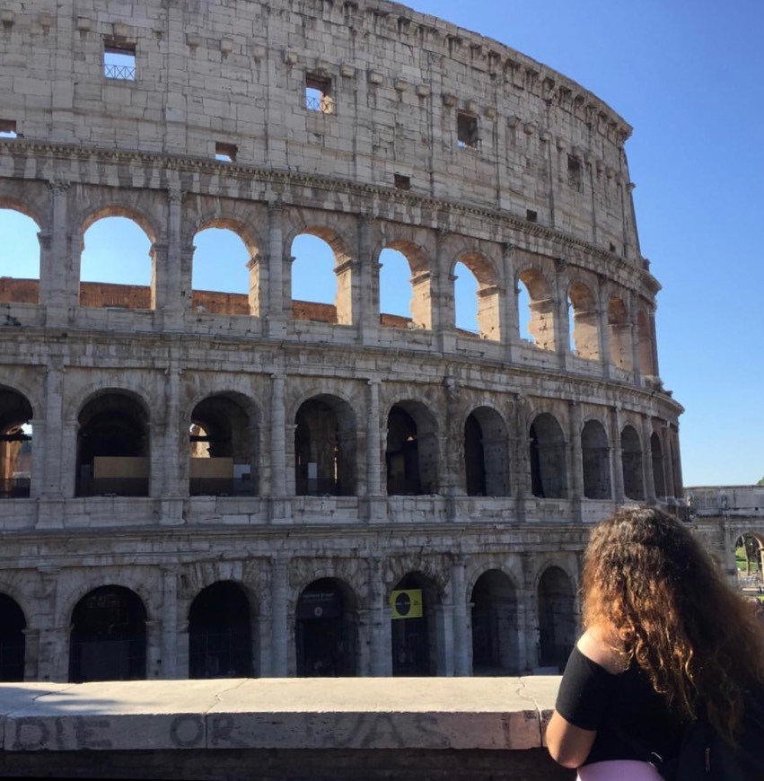 Lugar Coliseo de Roma