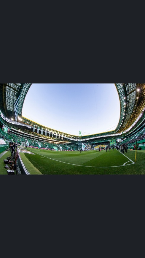 Place Estadio José Alvalade