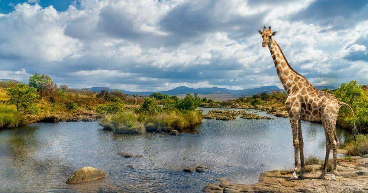 Place Kruger Park