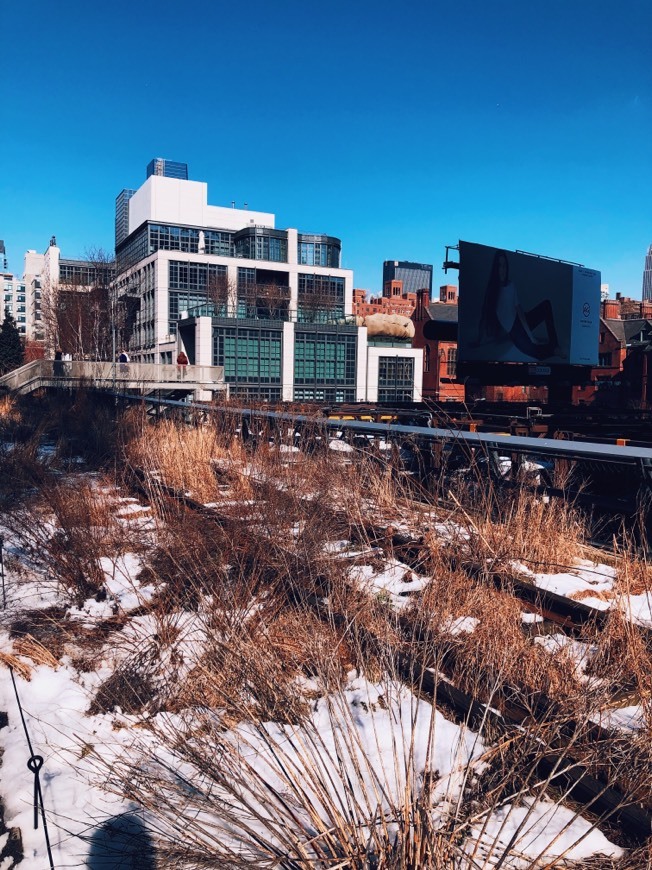 Lugar The High Line