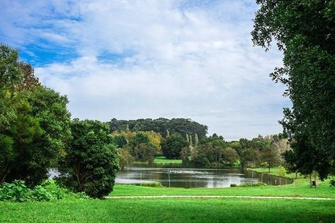 Place Parque da Cidade