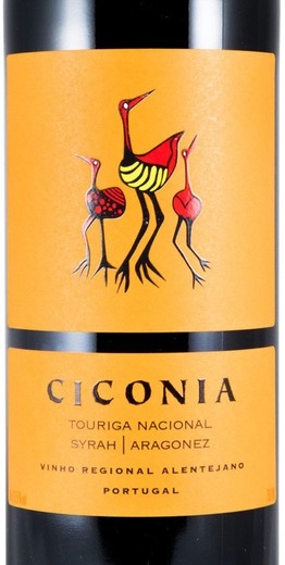Ciconia 