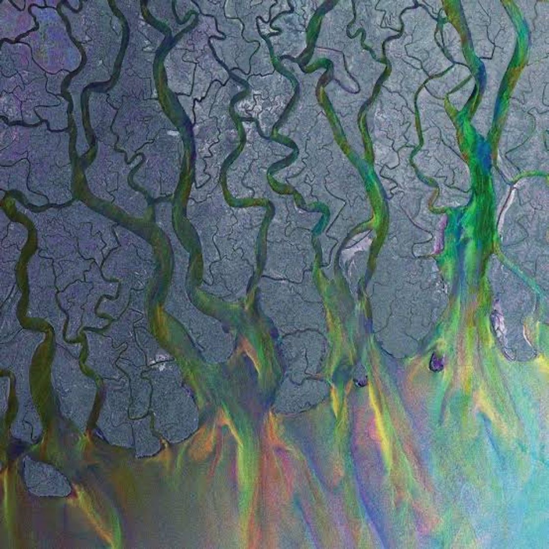 Music Alt-J - Taro 