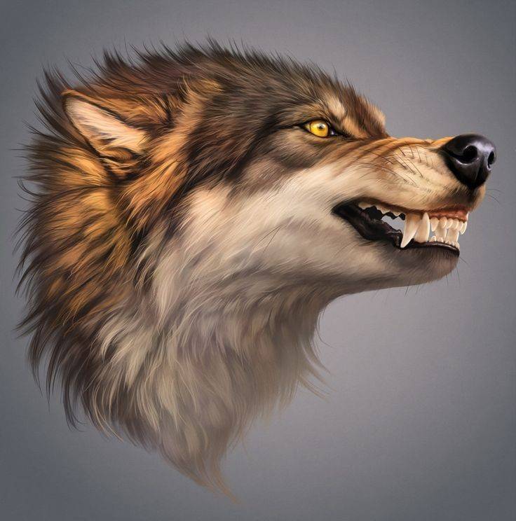 lobos