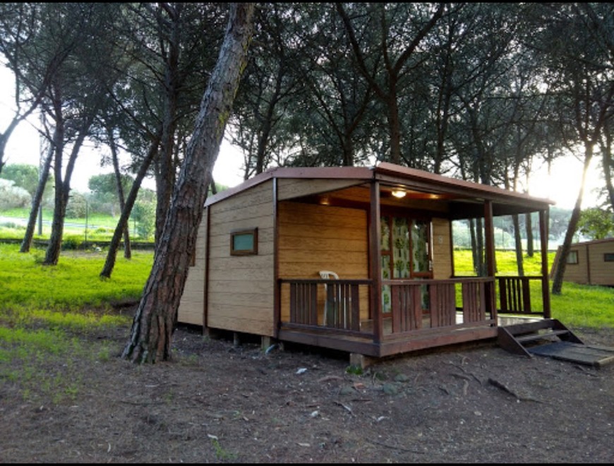 Lugar Lisboa Camping & Bungalows