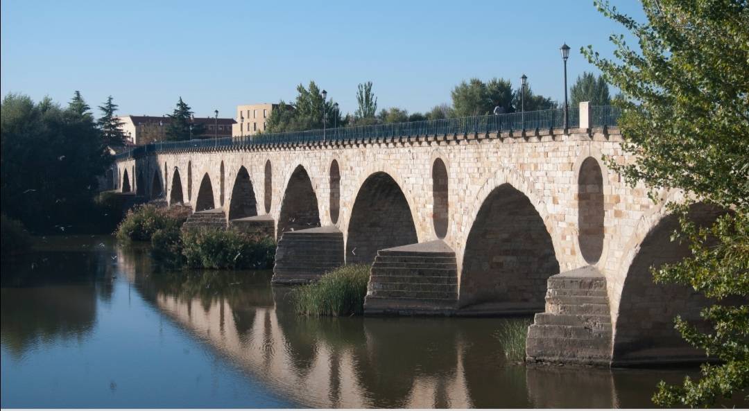 Puente de Piedra - Zamora 