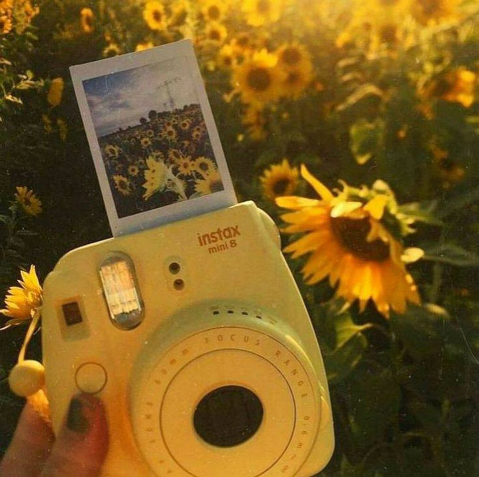 Fashion instax mini 