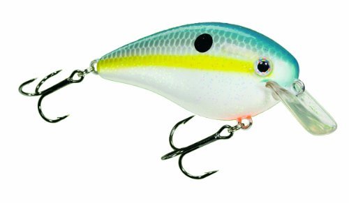 Place Huelga Rey Square Bill Crankbait