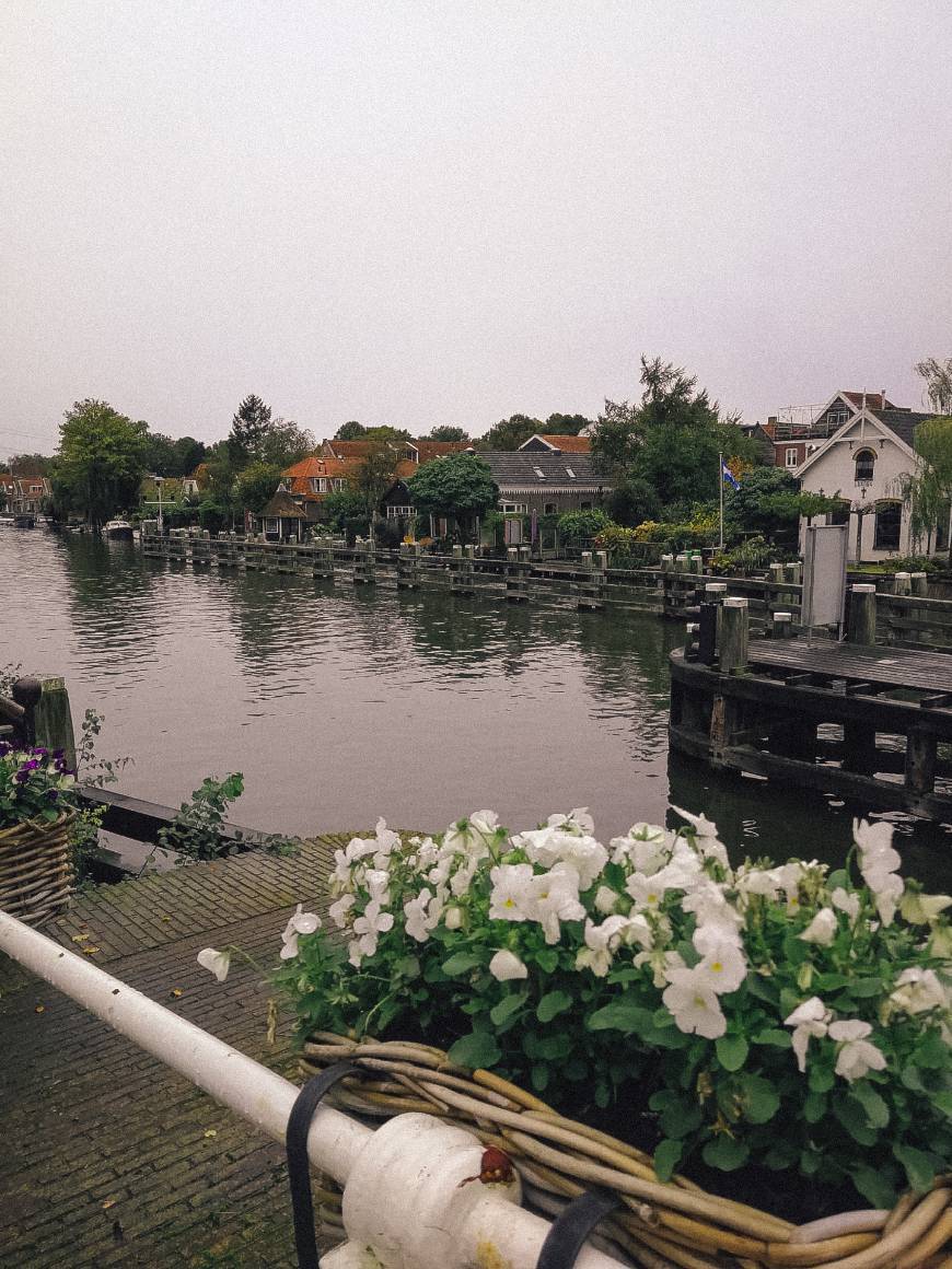 Pampus