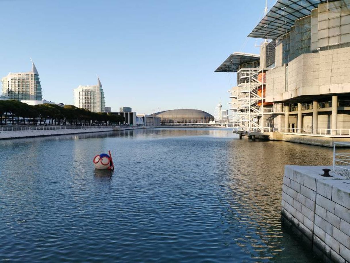 Place Oceanario de Lisboa