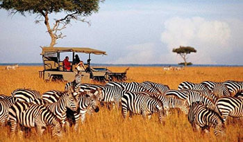 Lugar Masai Mara National Reserve