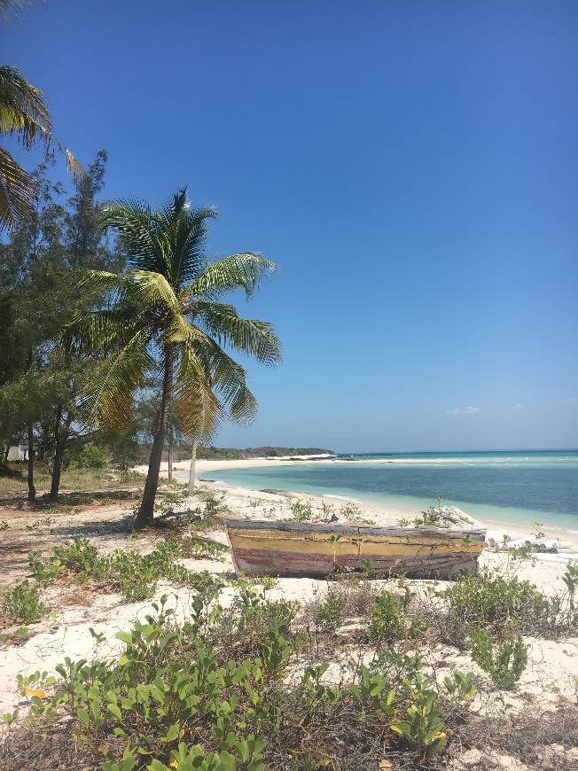 Place Ilha de Santa Carolina