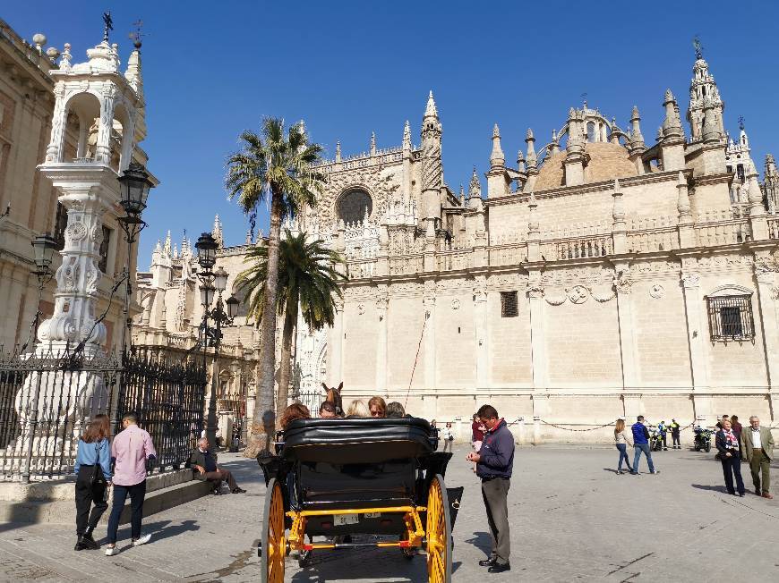 Place Catedral de Sevilla