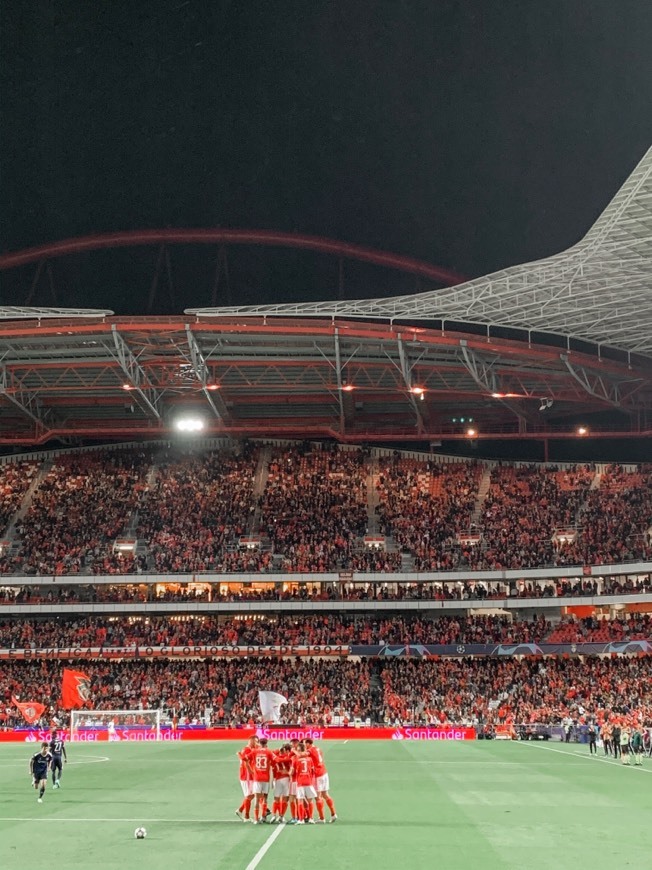 Place Estádio Sport Lisboa e Benfica