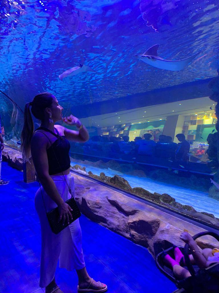 Lugar Dubai Aquarium & Underwater Zoo