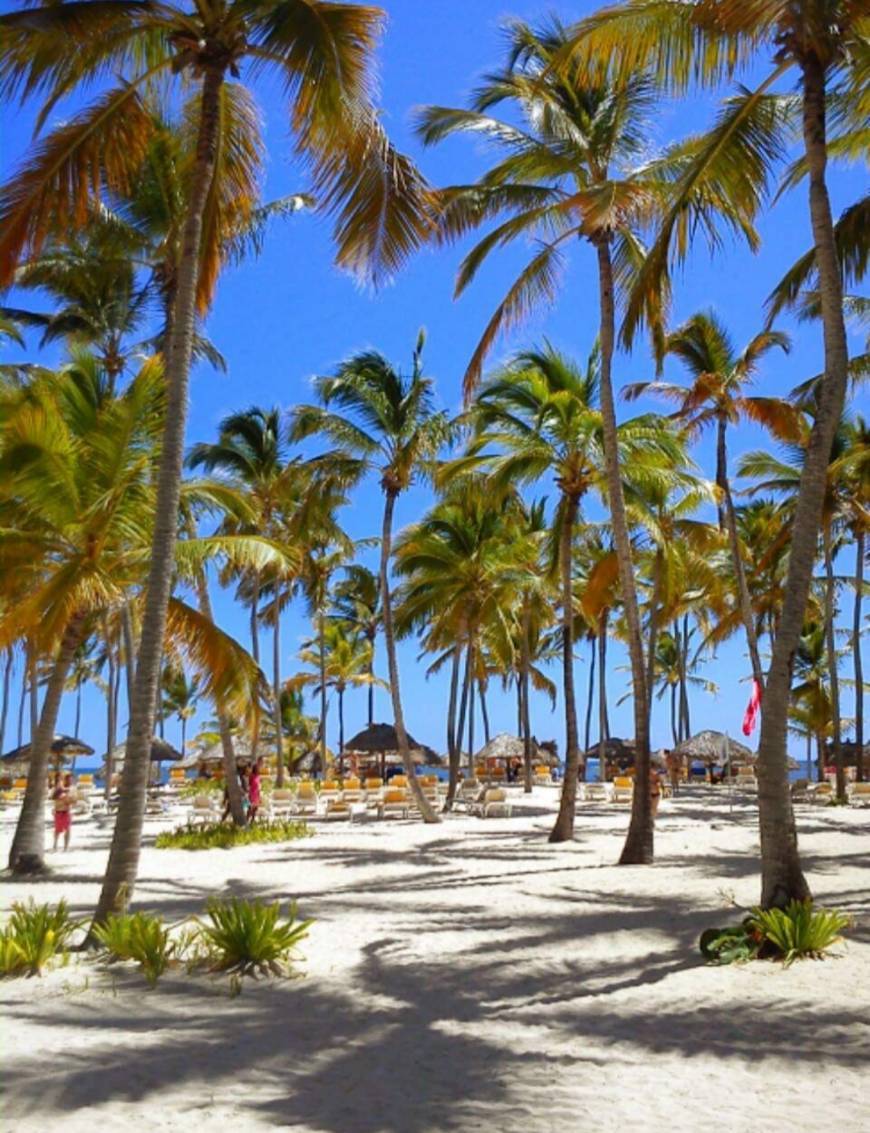 Lugar Catalonia Bavaro Beach, Golf & Casino Resort