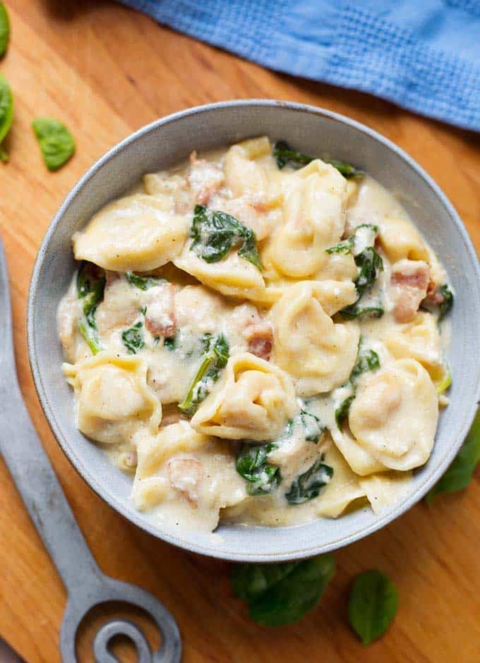 Moda TORTELLINI 