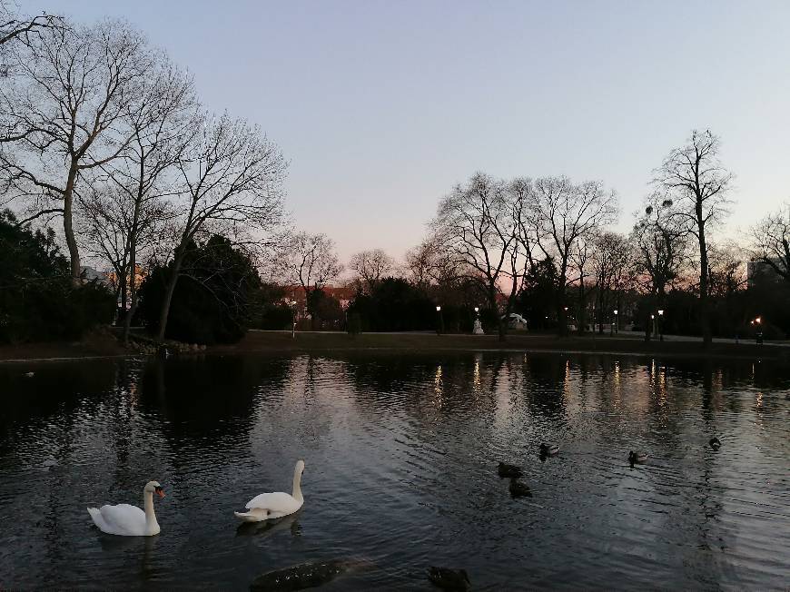 Places Stadtpark