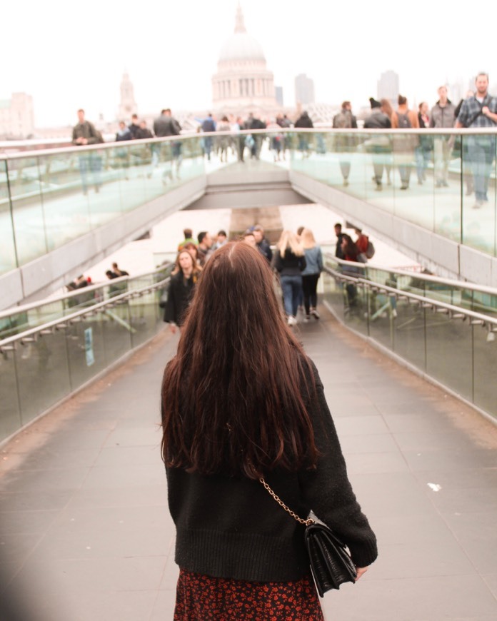 Place Millennium Bridge