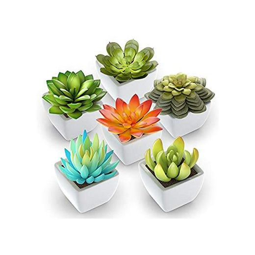 6 Mini Potted Plants