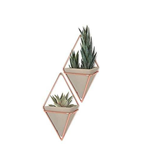 Producto Hanging Planter Wall