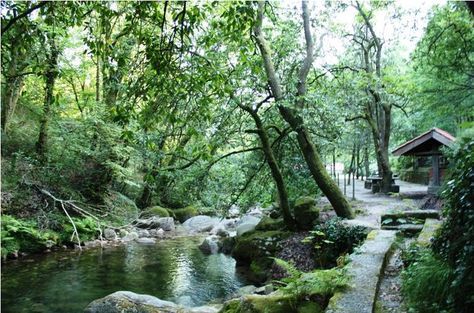 Place Vidoeiro Gerês Camping
