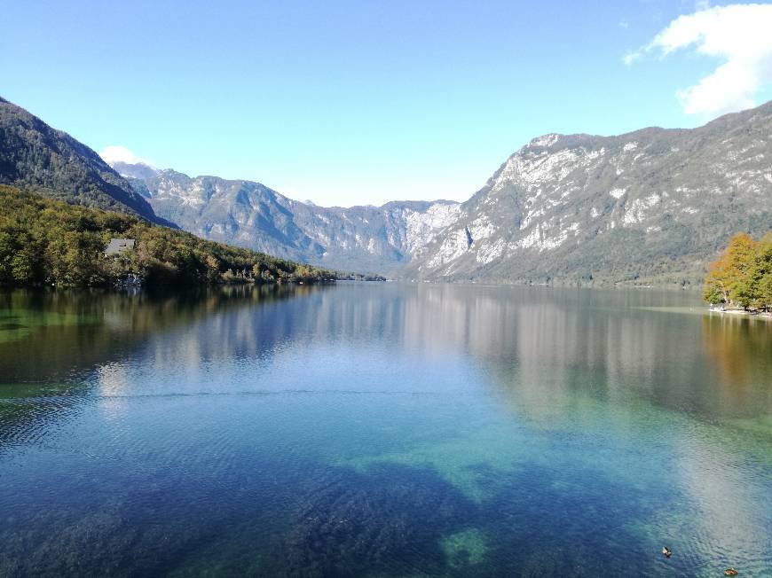 Place Bohinj