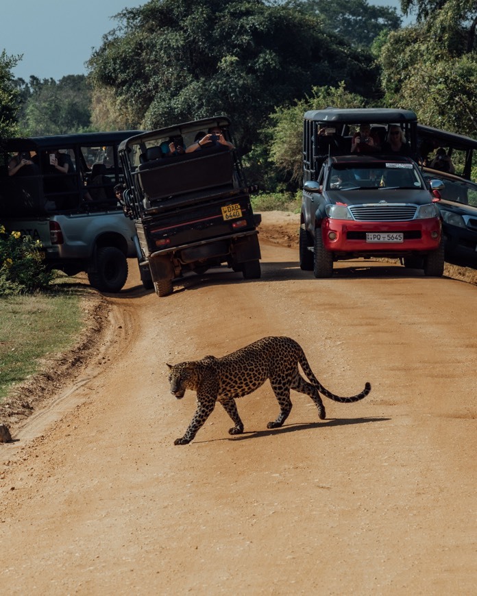 Lugar Yala National Park Sri Lanka