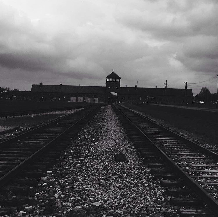 Moda Auschwitz 