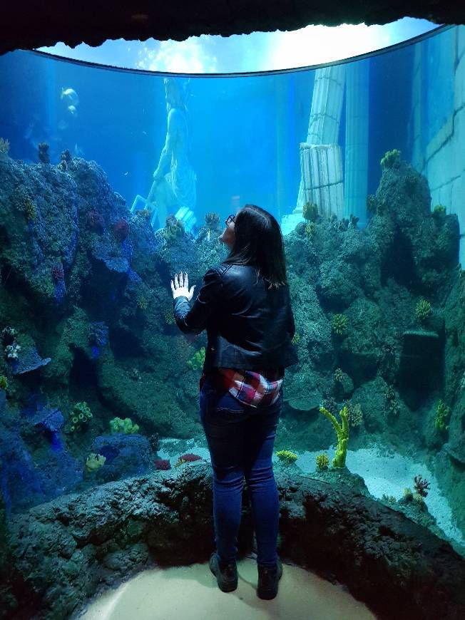 Place SEA LIFE Porto